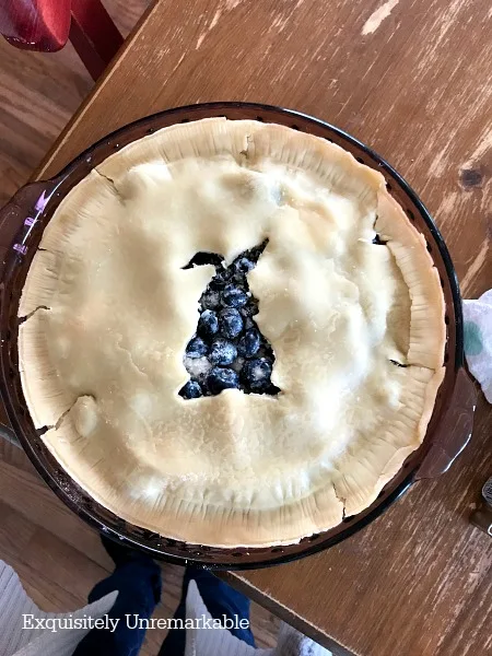 Cookie Cutter Bunny Shape On Pie Shells