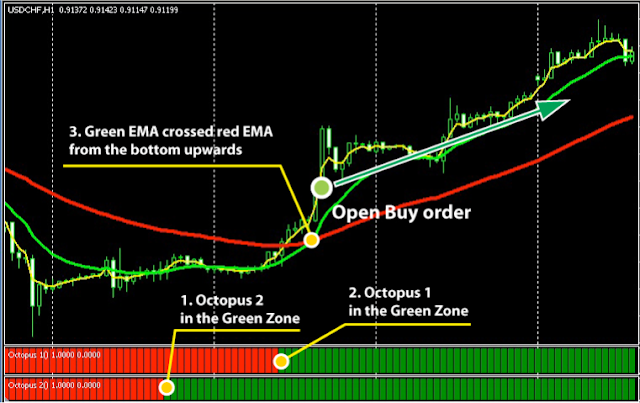 Forex Octopus System