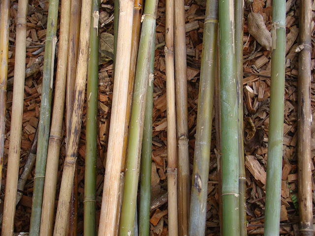 cara mengawetkan bambu
