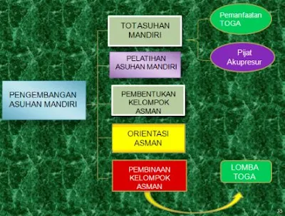 Pengembangan Asuhan Mandiri