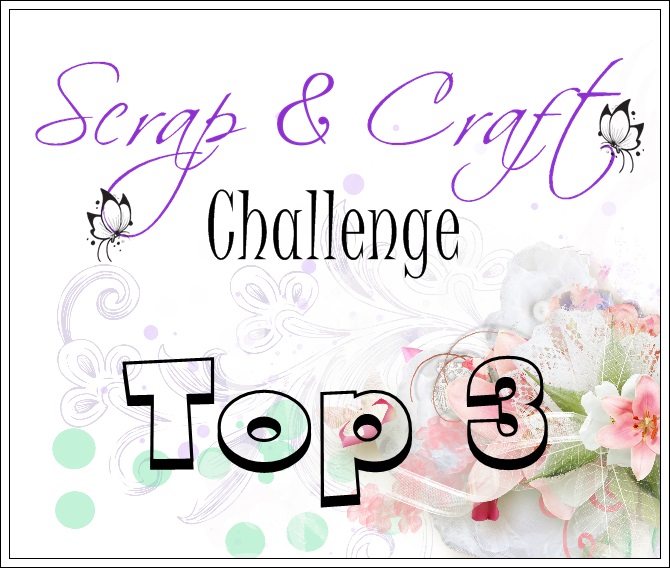 top 3 Scrap and craft