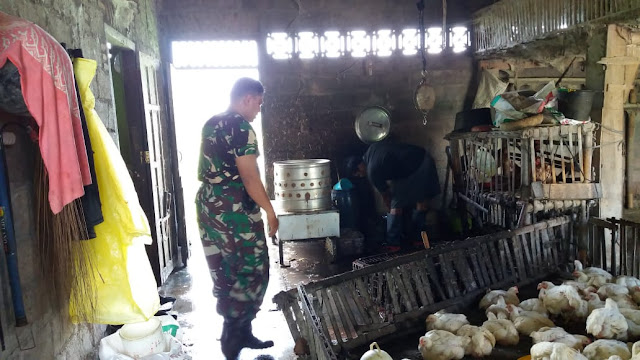 Peternak Ayam Potong Di Datangai Babinsa Jogonalan