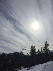 hoffmann homework watercolors tom posted am