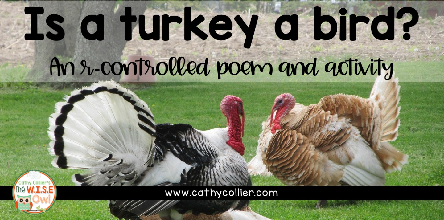 is a turkey a bird thanksgiving r controlled vowel poem the w i s e owl