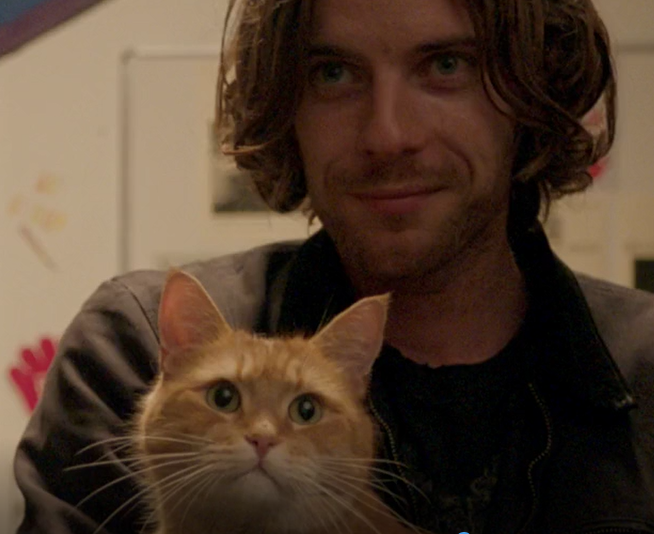 Resenha do filme Um Gato de