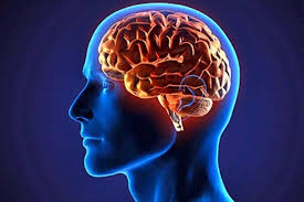 Here are some tips to keep the brain healthy,