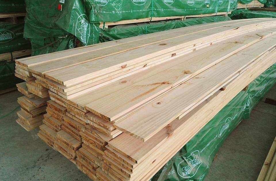 Supplier Jual Kayu Jati Belanda Tanjung Pinang, Kepulauan Riau Paling