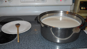 Step #2: Yogurt Making