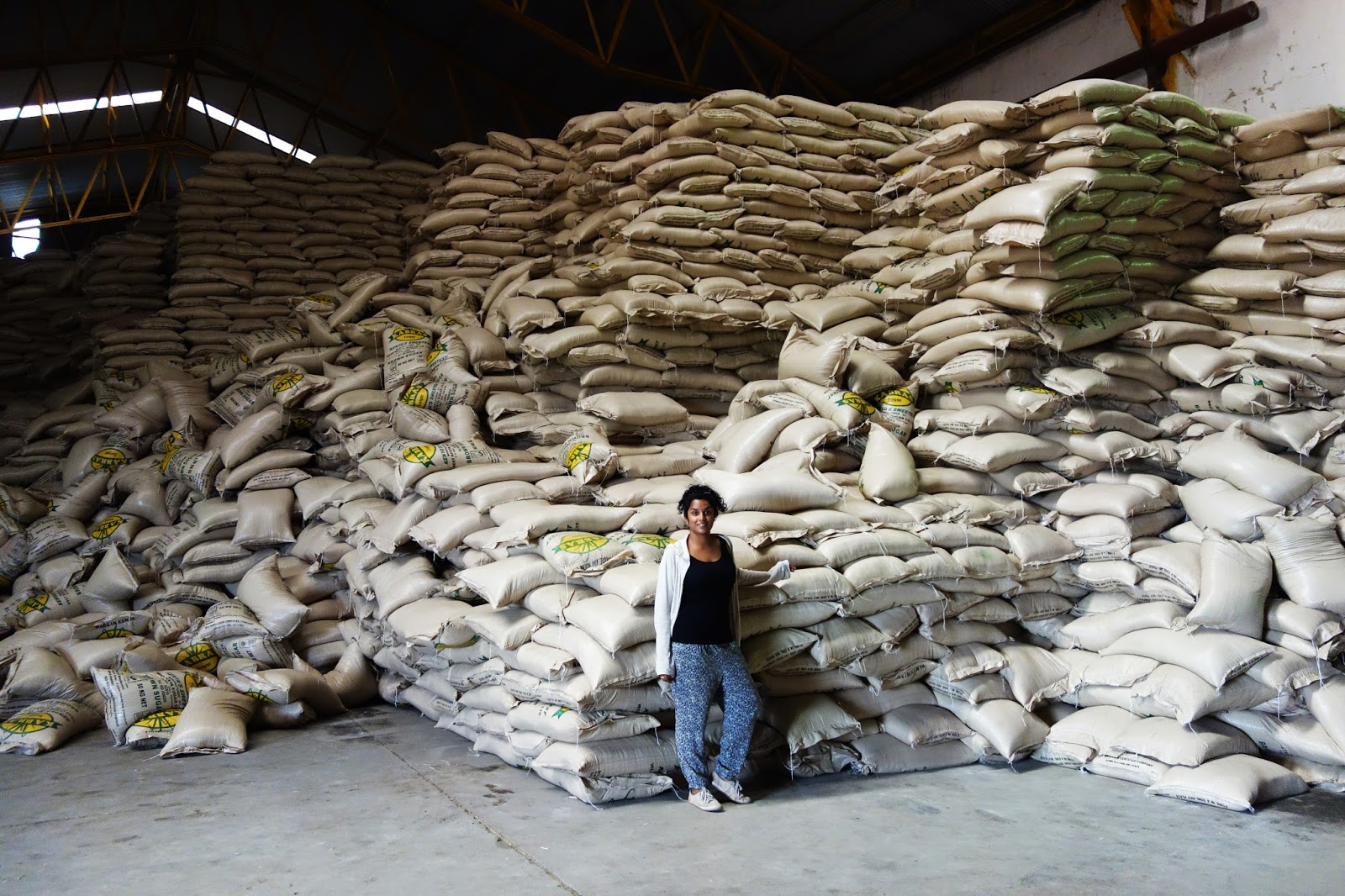 Dipa's Daily Dumplings The West Kenyan Sugar Experience