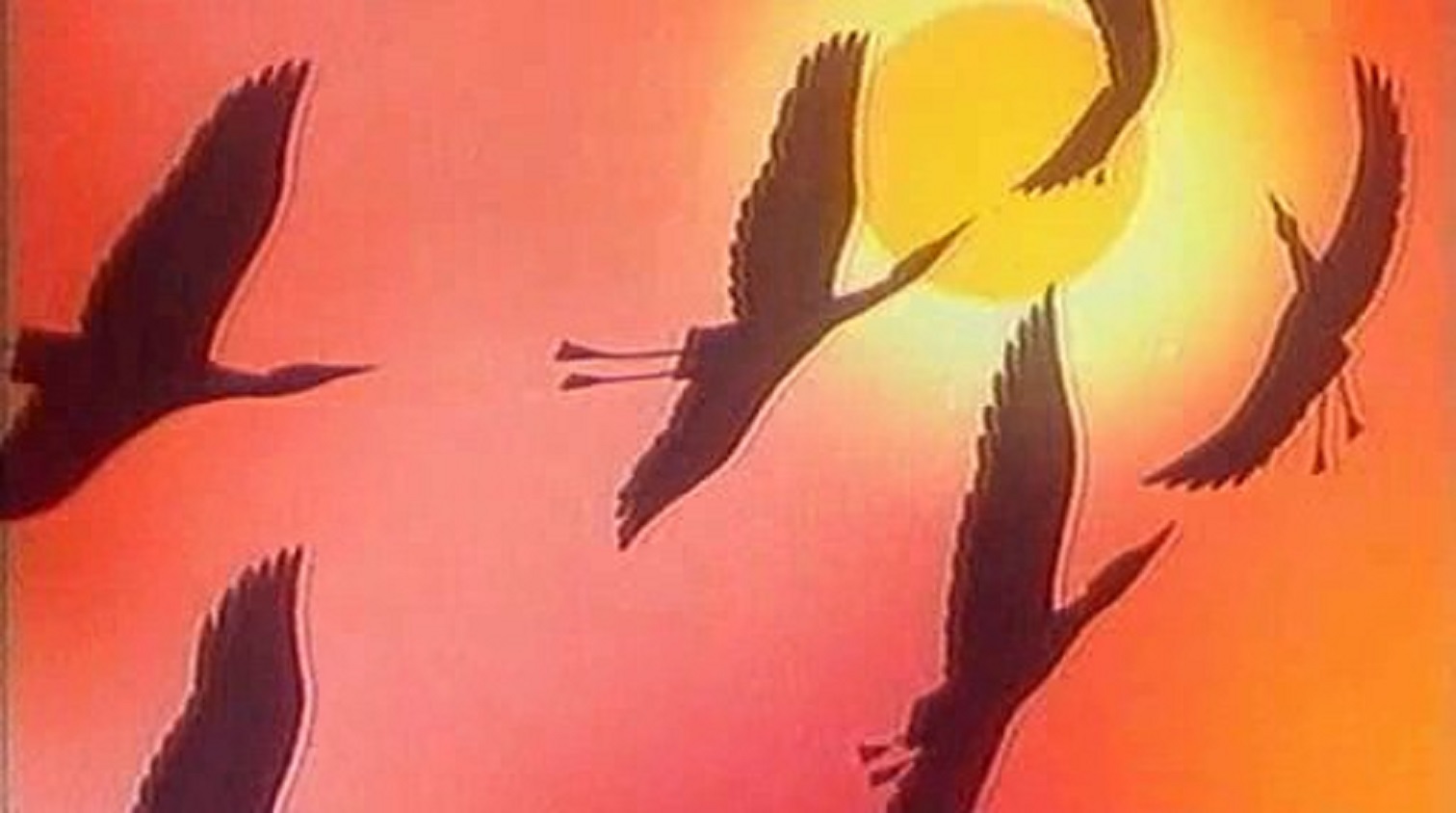 иллюстрации животных для детей. много животных. животные с музыкальными инструментами. животные африки. в мире животных заставка.