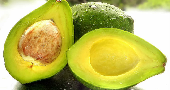 Manfaat Buah Alpukat Untuk Mengobati Penyakit Batu Ginjal Manfaat Buah Alpukat Untuk Mengobati Penyakit Batu Ginjal
