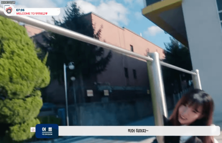 Honeycam%2B2020-01-15%2B16-13-26.gif