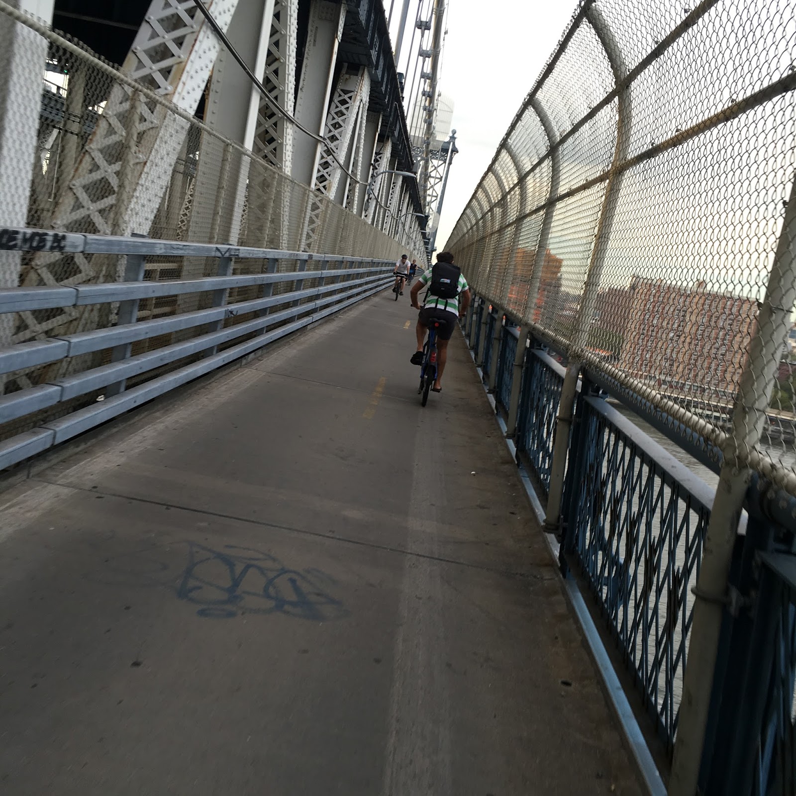 Bike Snob NYC The Indignity of Commuting by Bicycle The Cat 6ing of