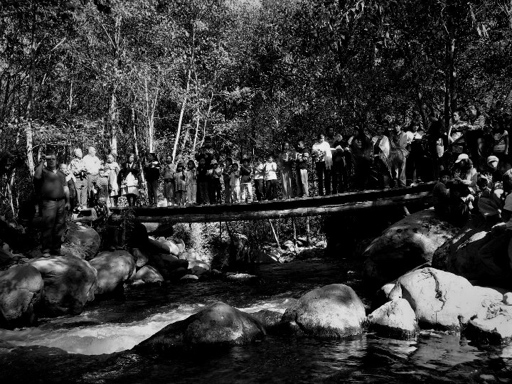 Ra\u00edz de menos uno: Habitantes de la niebla
