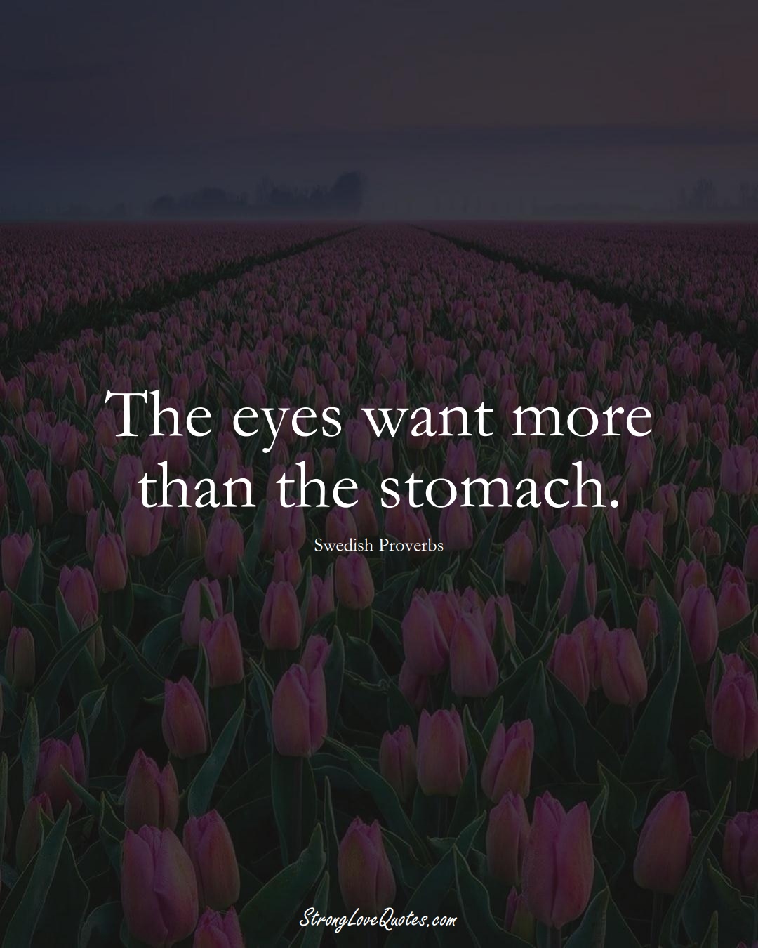 The eyes want more than the stomach. (Swedish Sayings);  #EuropeanSayings