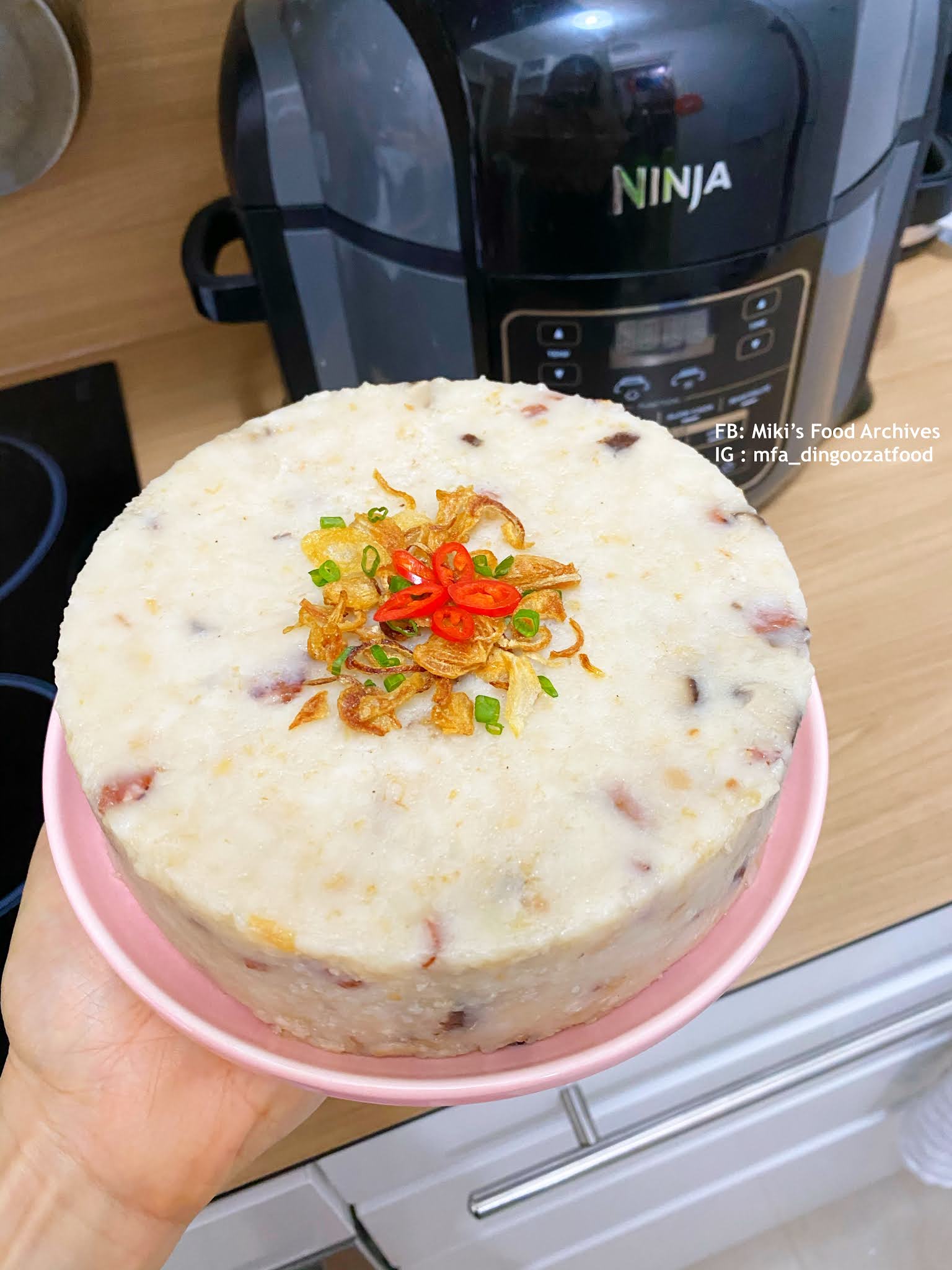 Miki's Food Archives Radish Cake aka Lo Bak Go 萝卜糕 [Ninja Foodi