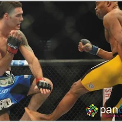 UFC: La Fractura De Anderson Silva. Foto 2