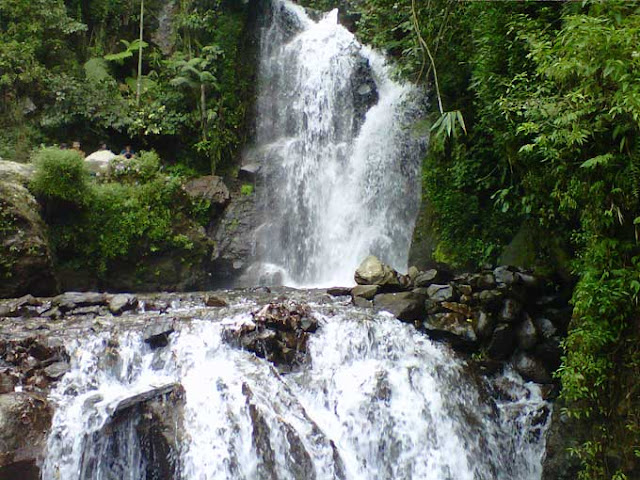 Air Terjun Cipamingkis