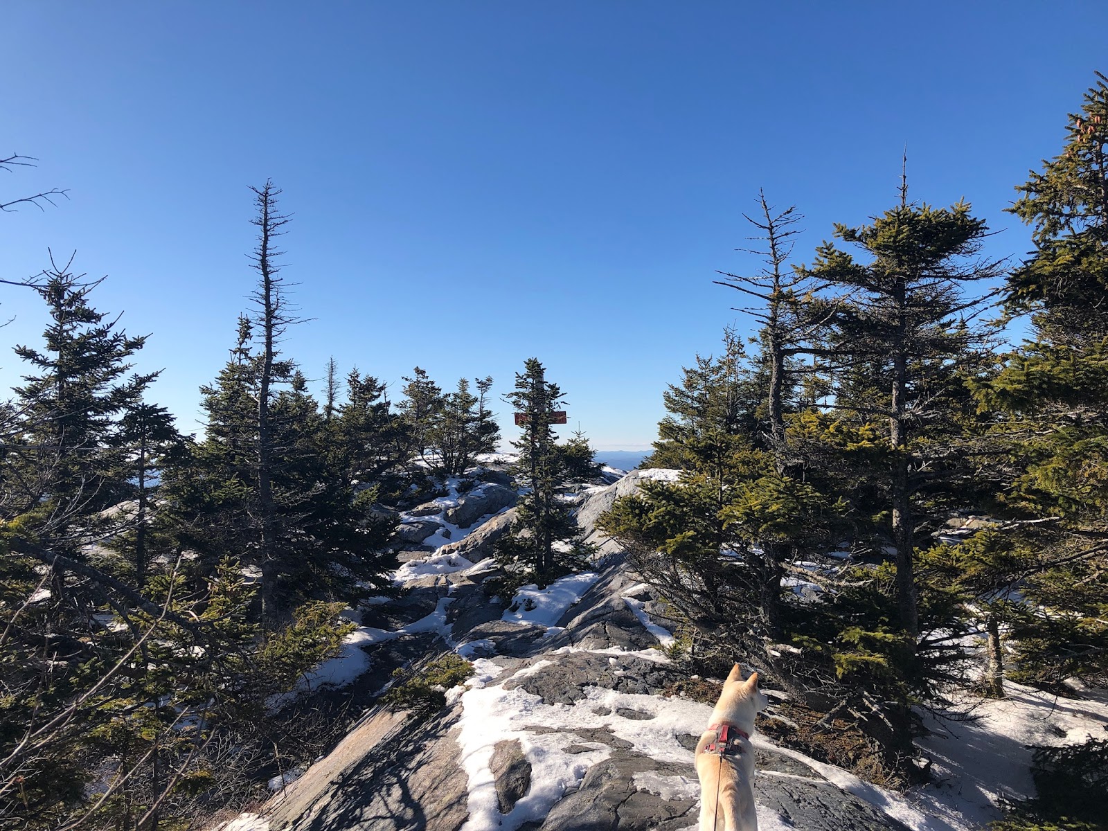 Smarts Mtn Mt Cube NH 52wav Hiking Conditions