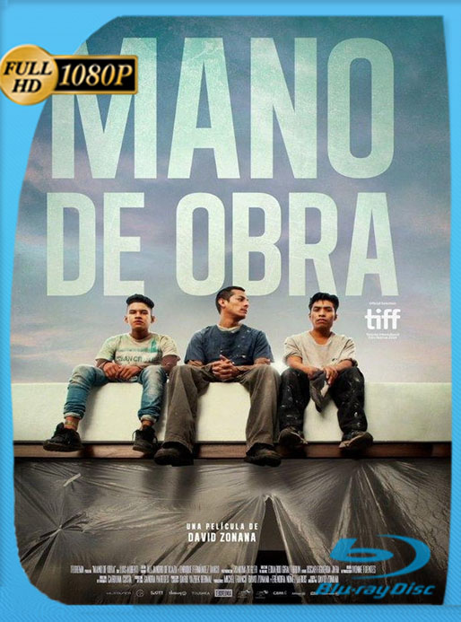 Mano de obra (2019) HD 1080p  Latino [Google Drive] Tomyly