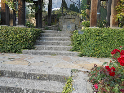 steps, humility, Berkeley rose garden