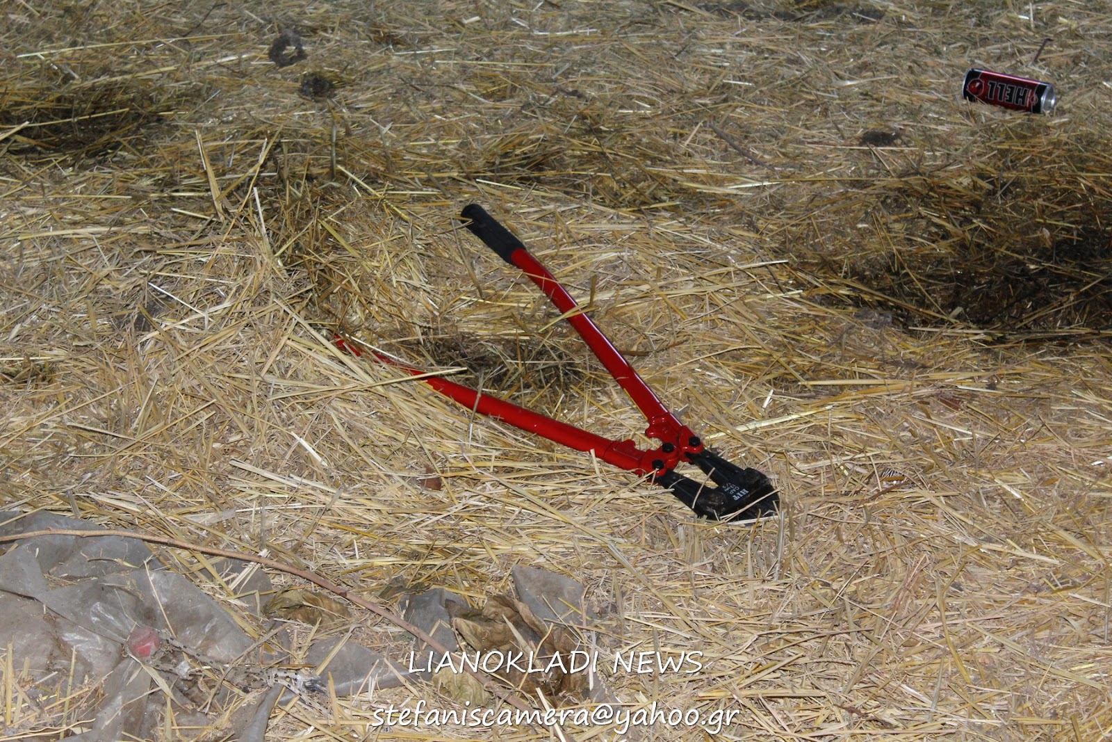 IMG 1660 | Lamianow.gr