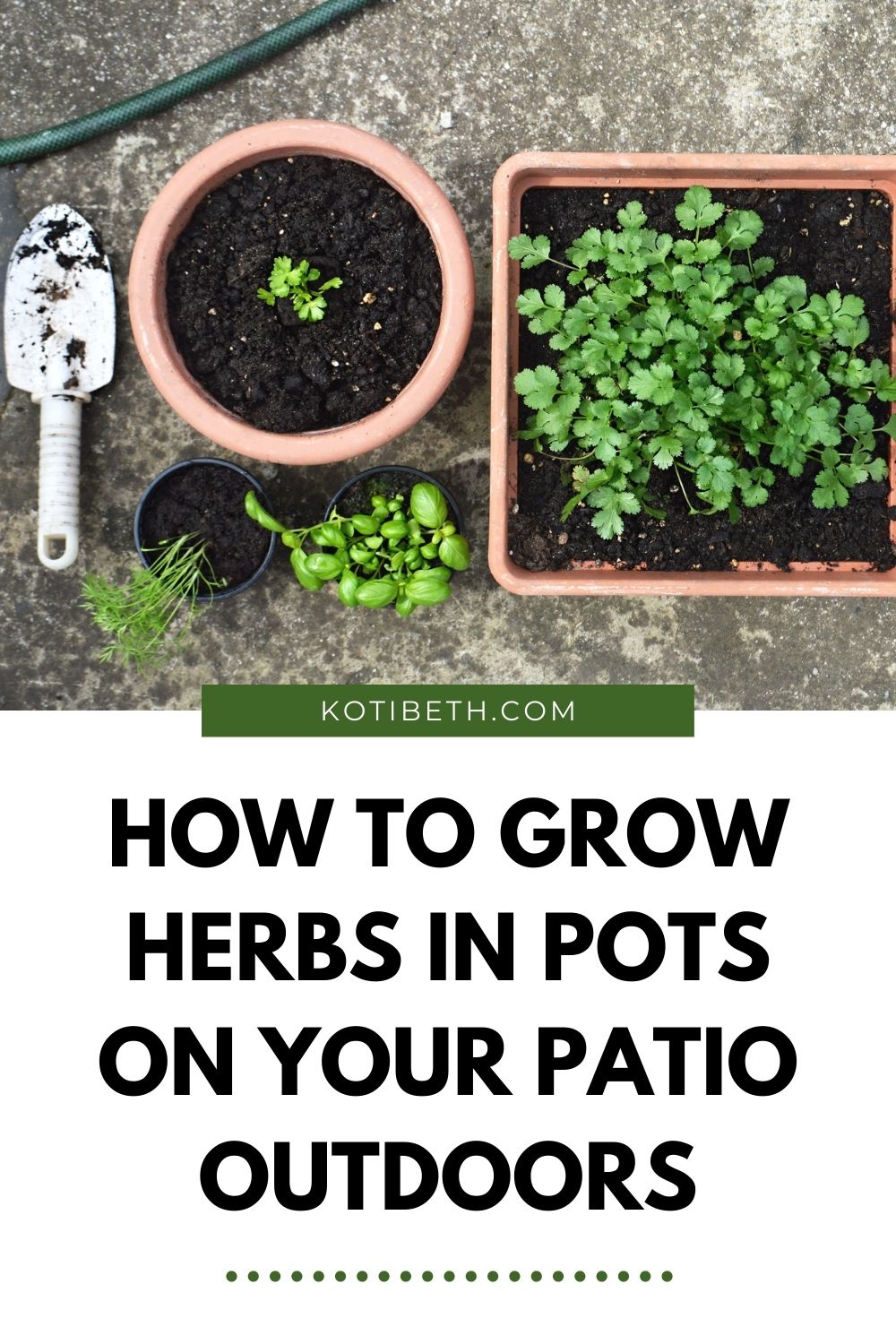 Growing Herbs in Pots for Beginners Koti Beth