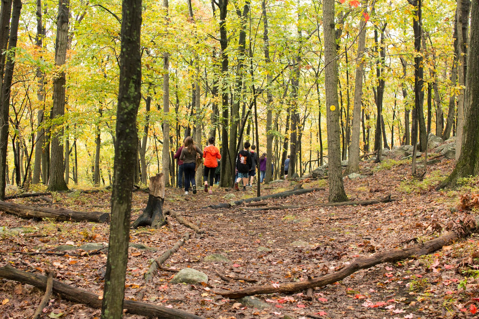 Fishkill 2014 Sharpe Reservation Camp Mariah
