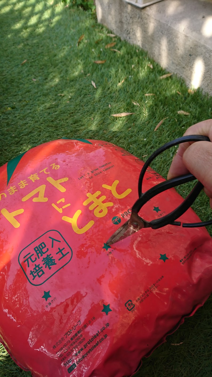 ｒｙｏ3の日々是々 4月 2018