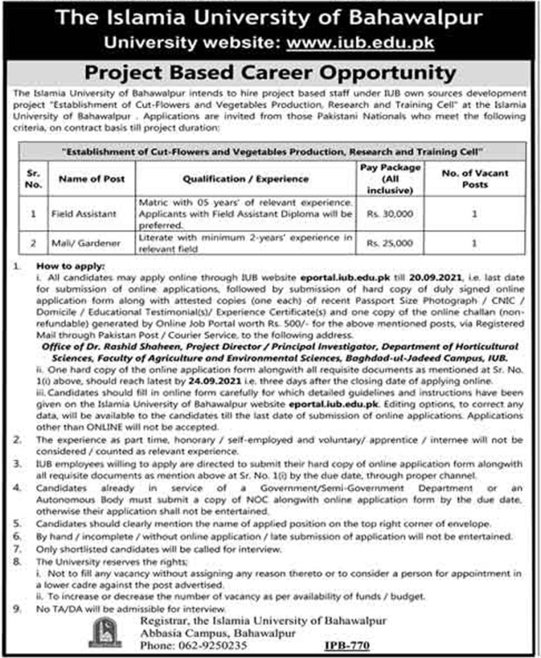 Eportal.iub.edu.pk - IUB Islamia University of Bahawalpur Jobs 2021 in Pakistan