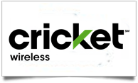 unlock cricket