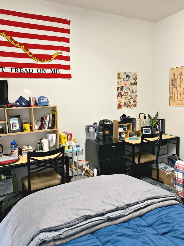 BOYS DORM ROOM DECOR AND ORGANIZING ESSENTIALS | Dimples and Tangles