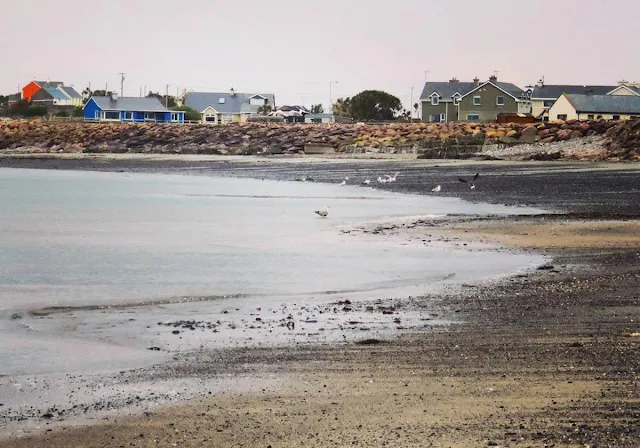 Day Trip from Dingle Town to Tralee - Beach at Castlegregory