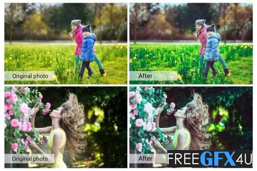 Fairy Garden Presets Fairy Garden Presets