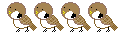 Gifs-animados-de-aves-pajaros-variados (33)