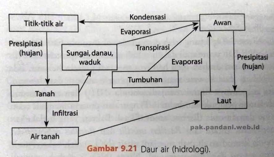 Gambarkan skema daur air lengkap dengan keterangannya. - Primalangga