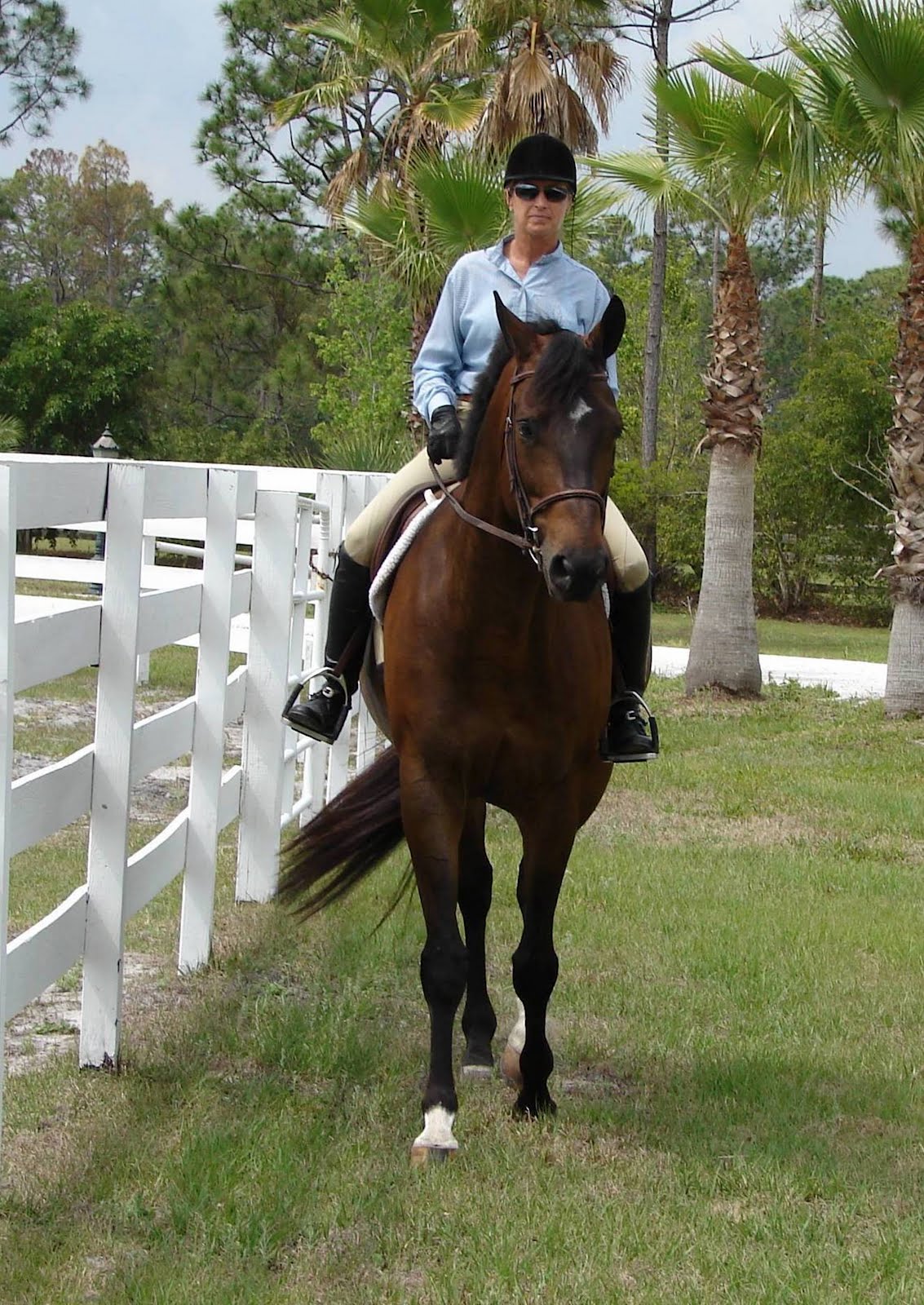 Palm City Equestrian Properties Looking for Equestrian Property in