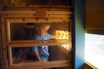 Long_Island_Childrens_Museum_bees