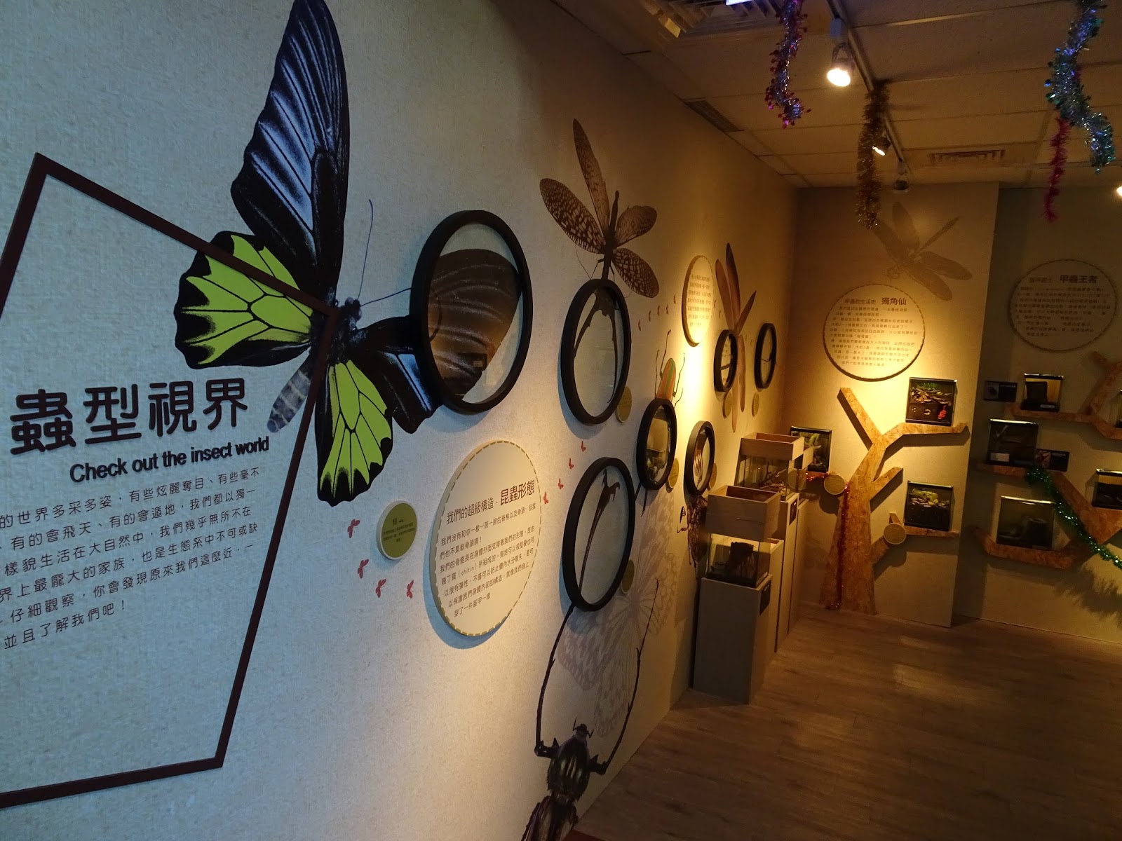 Lydia Fun Taiwan Insect Center Fuyang Eco Park Taipei 台灣