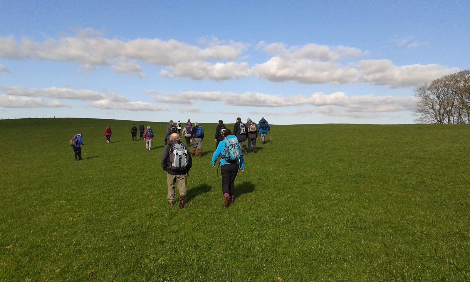 Swog Blog. (Stockport Walking Outdoor Group.) Walk 09/03/2017 Lyme park