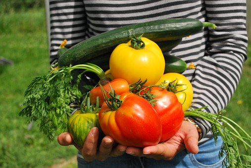 vegetables name list in hindi and english