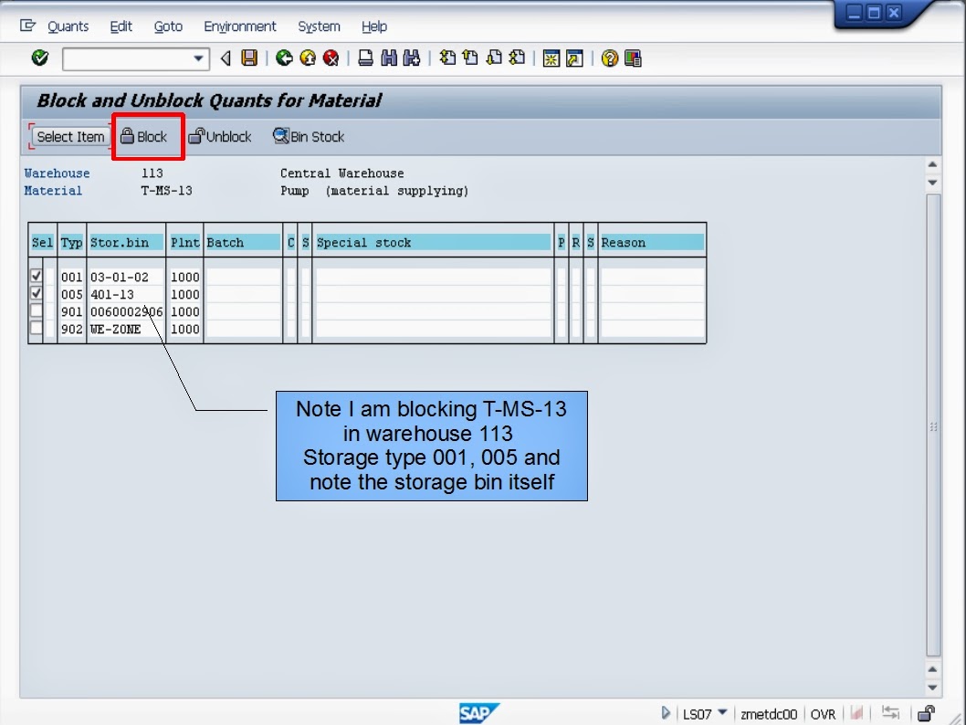 青蛙SAP分享 Froggy's SAP sharing WMS Controls Blocking Storage Types and