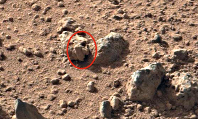 face%2Bof%2Balien%252C%2Bhead%252C%2Bmars%252C%2Beagle%252C%2Bnebula%252C%2Bfigure%252C%2Bgod%252C%2Bgodly%252C%2Bfairy%252C%2Baliens%252C%2Balien%252C%2BET%252C%2Bplanet%2Bx%252C%2Banunnaki%252C%2Bgods%252C%2Bgod%252C%2Bangels%252C%2Bdemons%2BMars%252C%2Bsecret%252C%2Bwtf%252C%2BUFO%252C%2Bsighting%252C%2Bevidence%252C%2B3%2Bcopy%2B2 Teórico de los alienigenas dice haber encontrado un cráneo alienígena en Marte