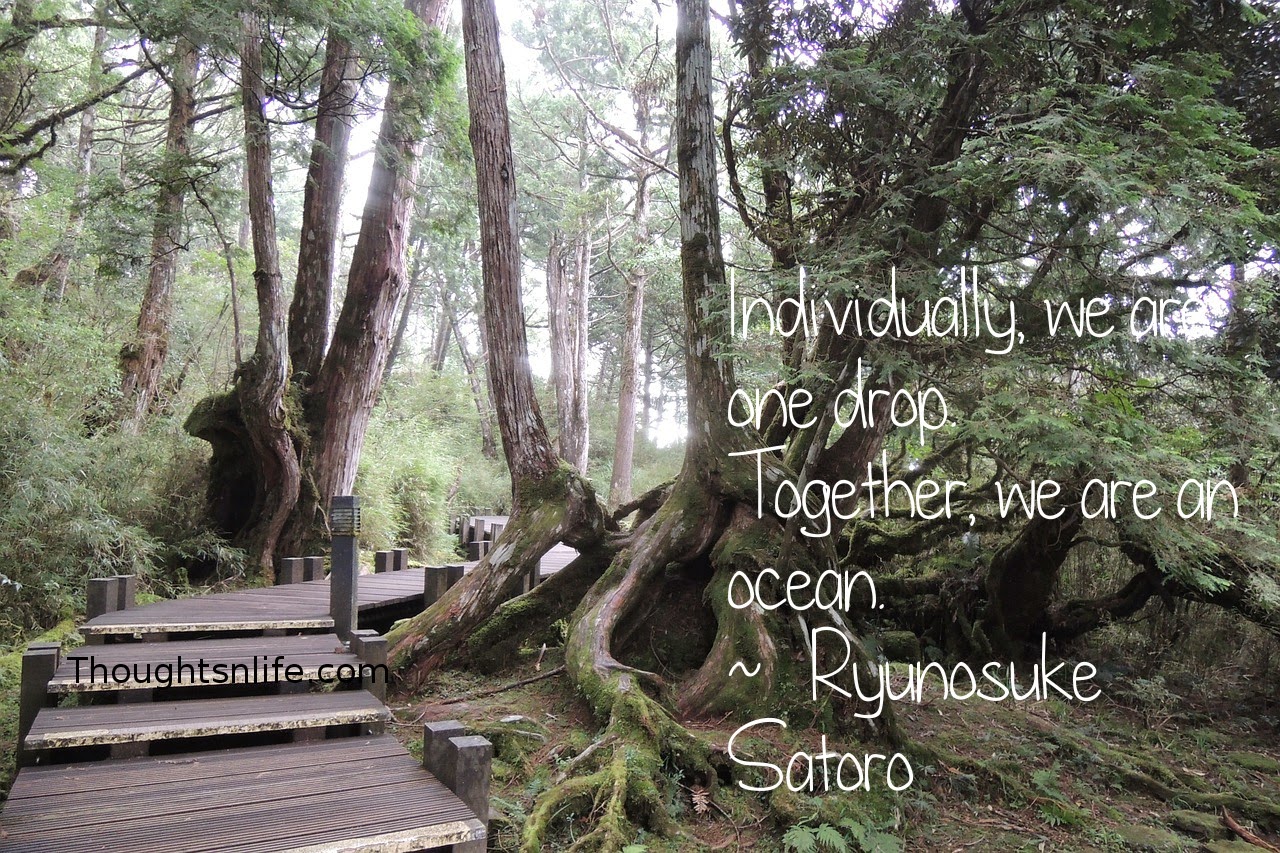 Thoughtsnlife.com: Individually, we are one drop. Together, we are an ocean.  ~   Ryunosuke Satoro