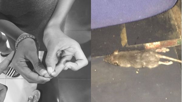 Child gets bitten by a rat inside a cinema in Iloilo