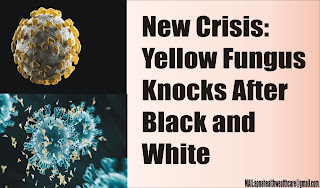 New Crisis: Yellow Fungus Knocks After Black and White