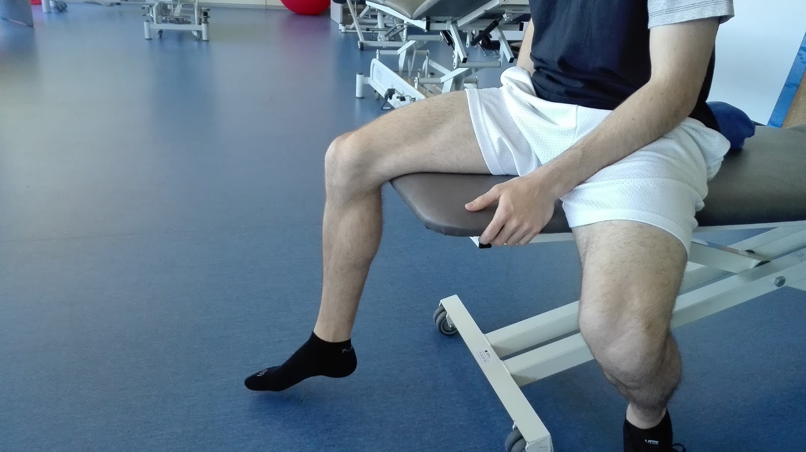 Regi Fisio Entrenamiento de fuerza de los vastos del cuadriceps.