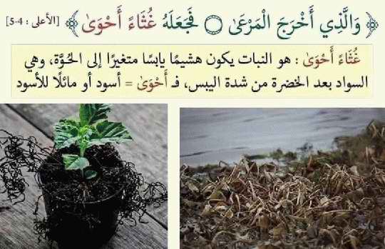 صور لفهم بعض آيات القرآن الكريم