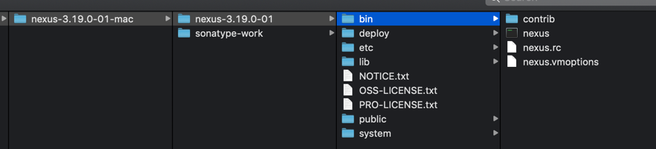 Programming for beginners: Installation and configuration of nexus ...