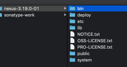 Programming for beginners: Installation and configuration of nexus ...